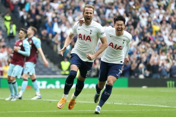 Tổng Hợp Thông Tin Về Hoa Loa Kèn Ngoại Hạng Anh - Tottenham