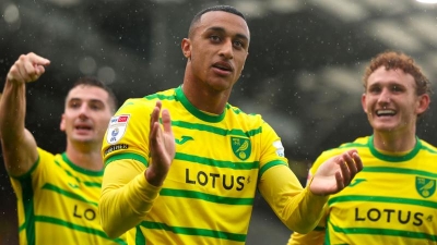 CLB Norwich City: Câu Chuyện Của Những Chú Chim Hoàng Yến